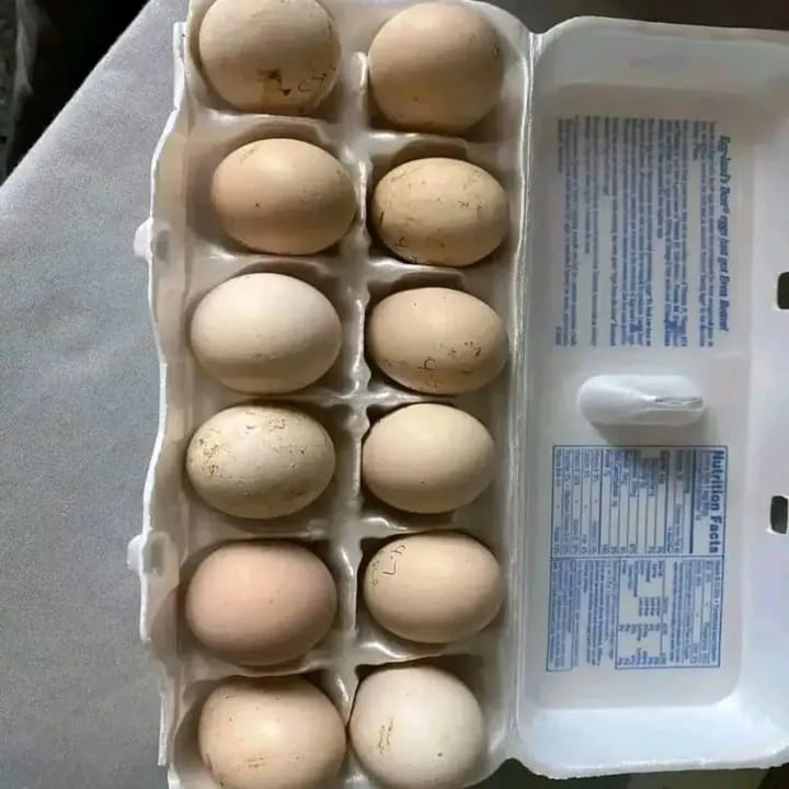 eggs 5
